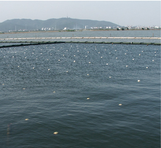生物控藻手艺