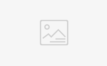 第十届武汉园博汇合肥园顺遂参展迎客